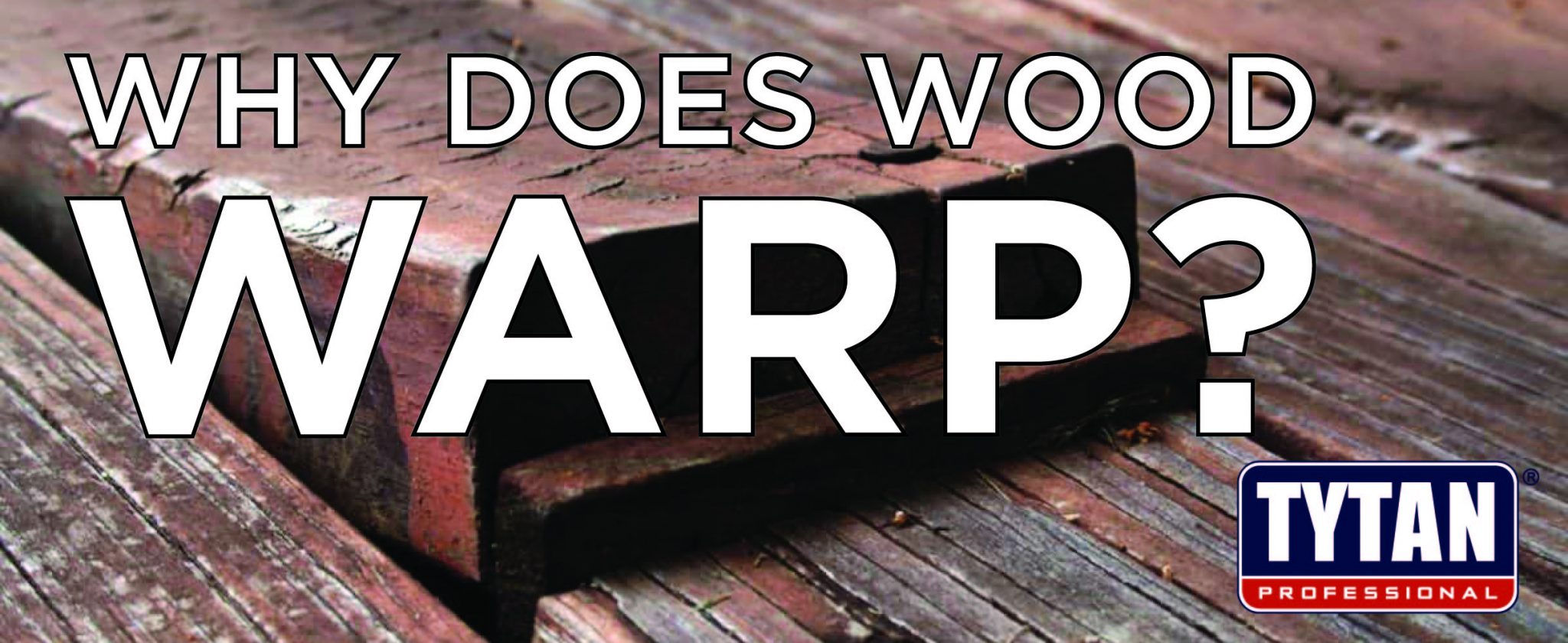 Why Does Wood Warp? TYTAN Professional USA