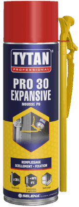 PRO 30 Expansive Mousse PU
